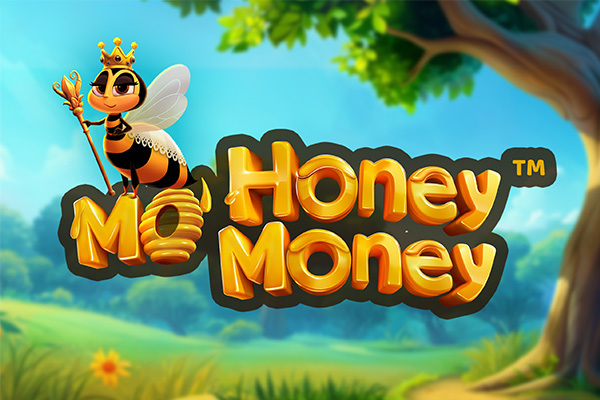 Mo' Honey Mo' Money Slot