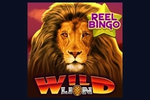 Wild Lion with Reel Bingo Slot