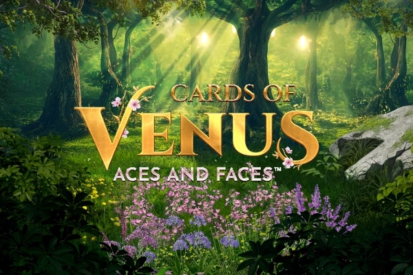 Cards of Venus Aces and Faces Slot